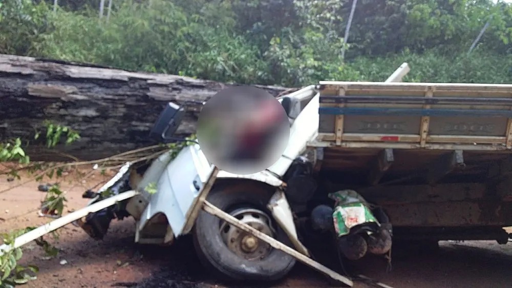 Queda de &aacute;rvore termina em morte em Laranjal do Jari, no Amap&aacute; &mdash; Foto: Reprodu&ccedil;&atilde;o Facebook