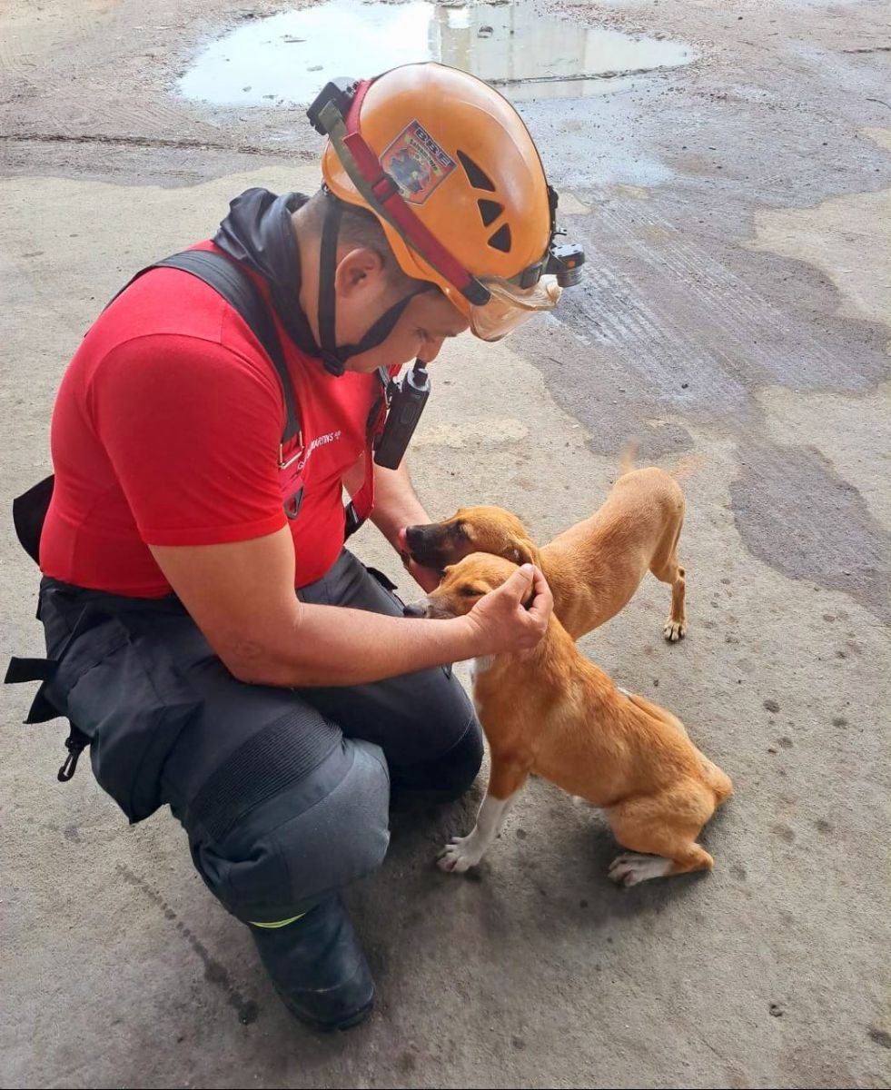 Foto: Divulga&ccedil;&atilde;o CBMAM