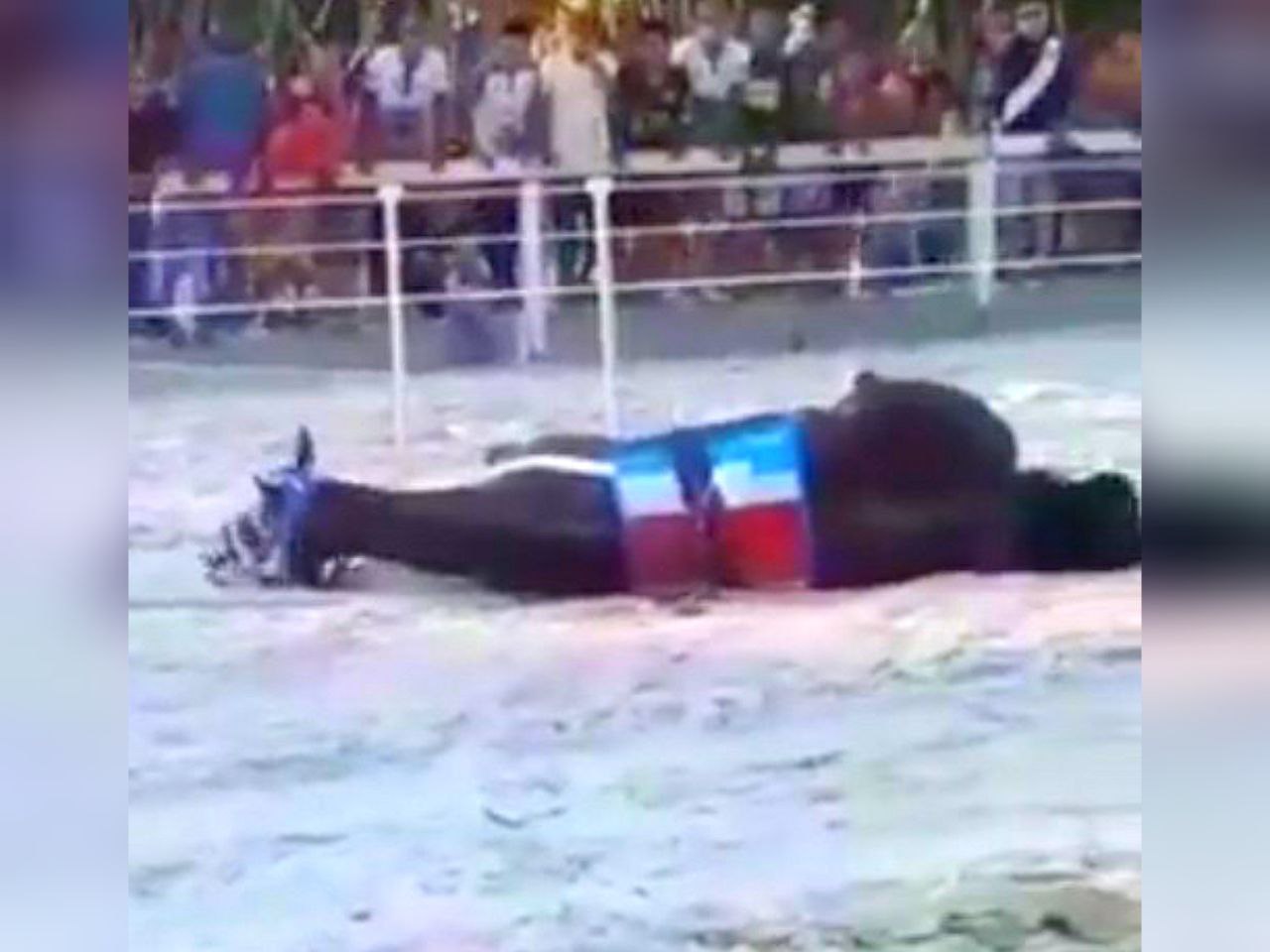 Foto: Reprodu&ccedil;&atilde;o