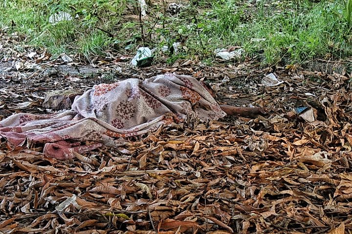 Foto: Jander Robson / Portal do Holanda