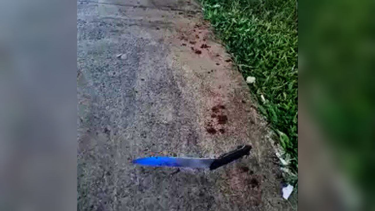  Foto: TV Globo/Reprodu&ccedil;&atilde;o