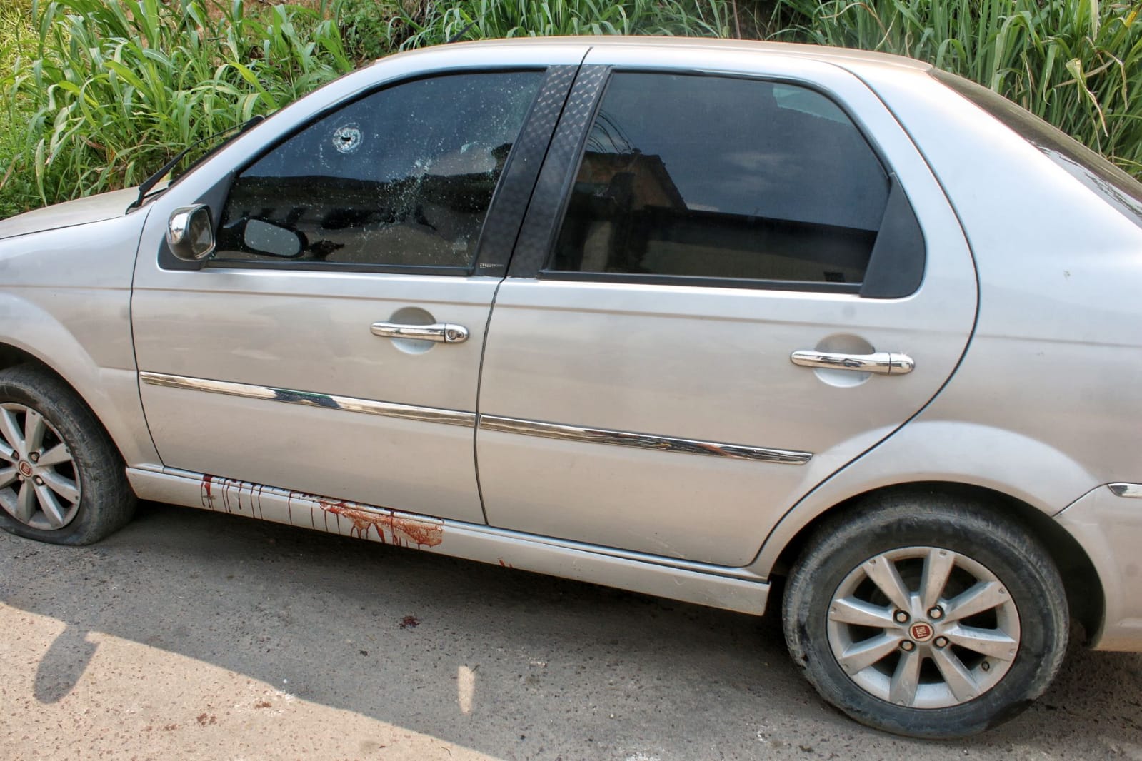 Foto: Jander Robson / Portal do Holanda