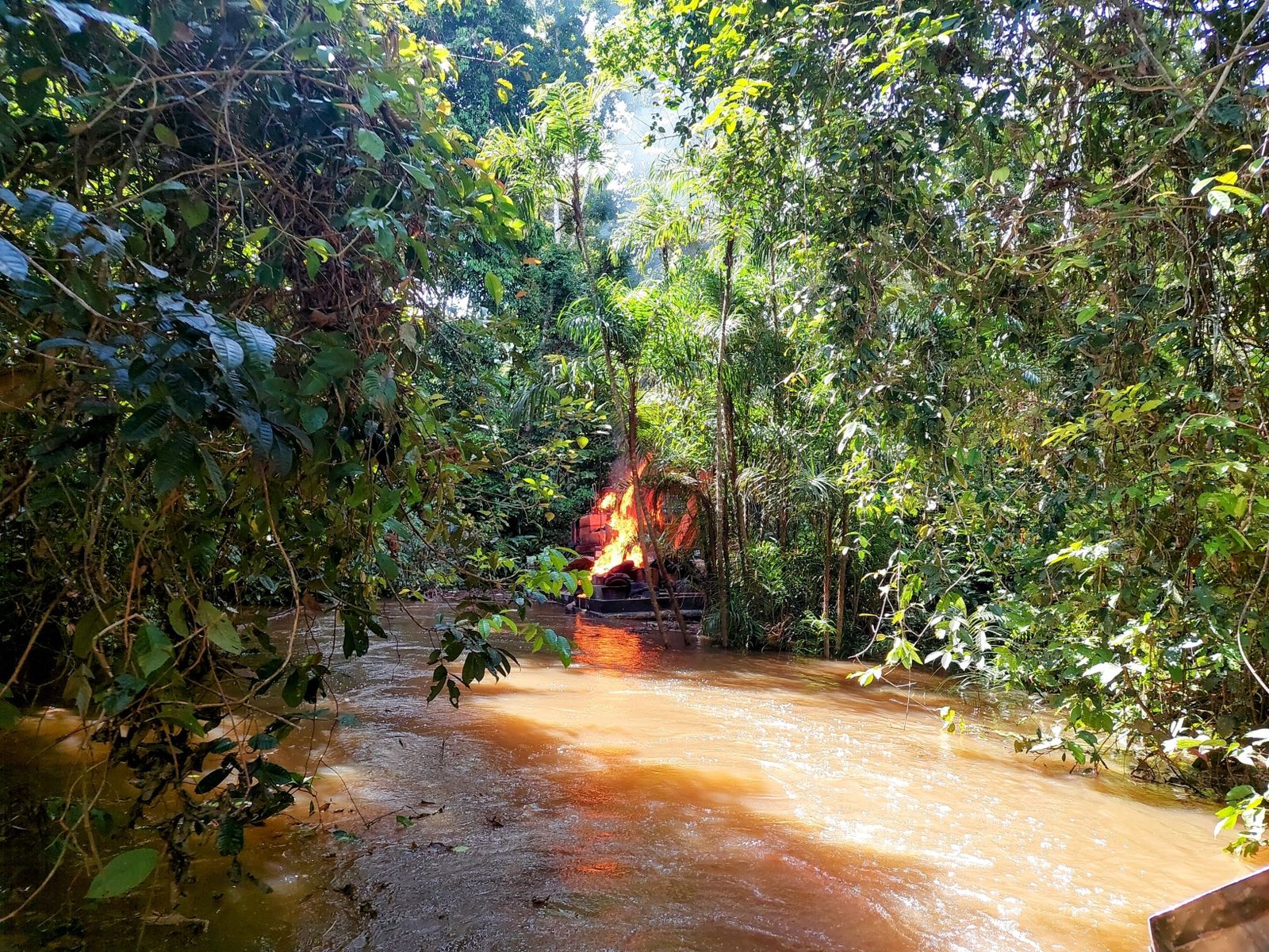 Foto: Divulga&ccedil;&atilde;o Ibama Amazonas