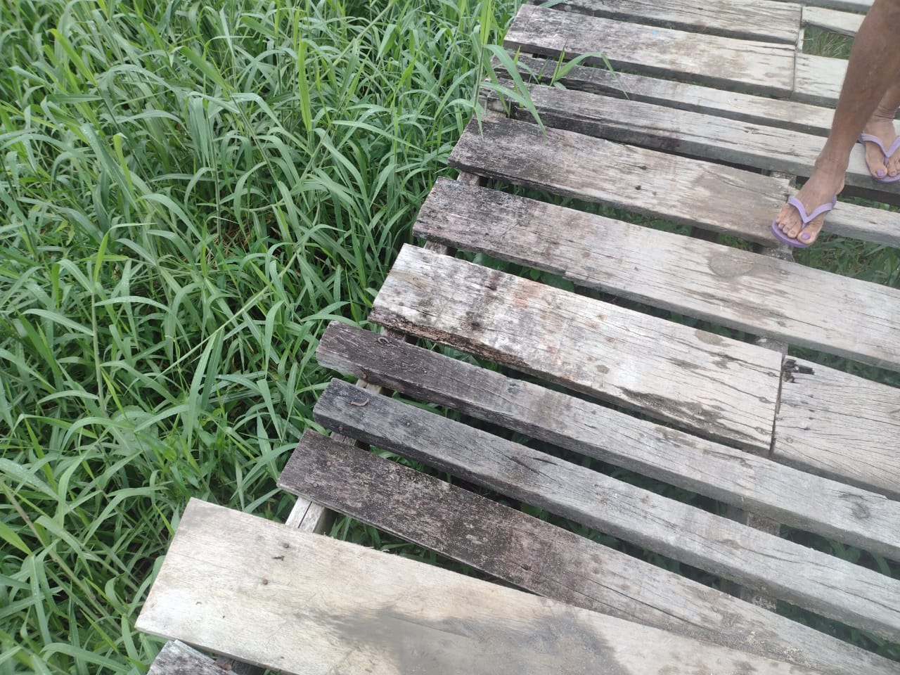 Marcas de sangue na ponte que d&aacute; acesso a casa do homem - Foto: Jander Robson / Portal do Holanda