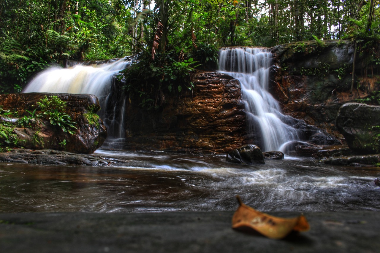 Foto: Divulga&ccedil;&atilde;o