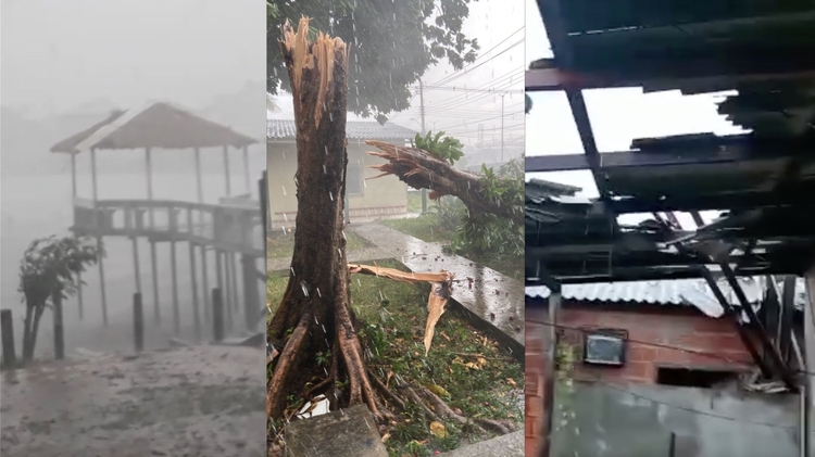 Foto: Reprodu&ccedil;&atilde;o