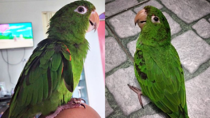 Foto: Divulga&ccedil;&atilde;o