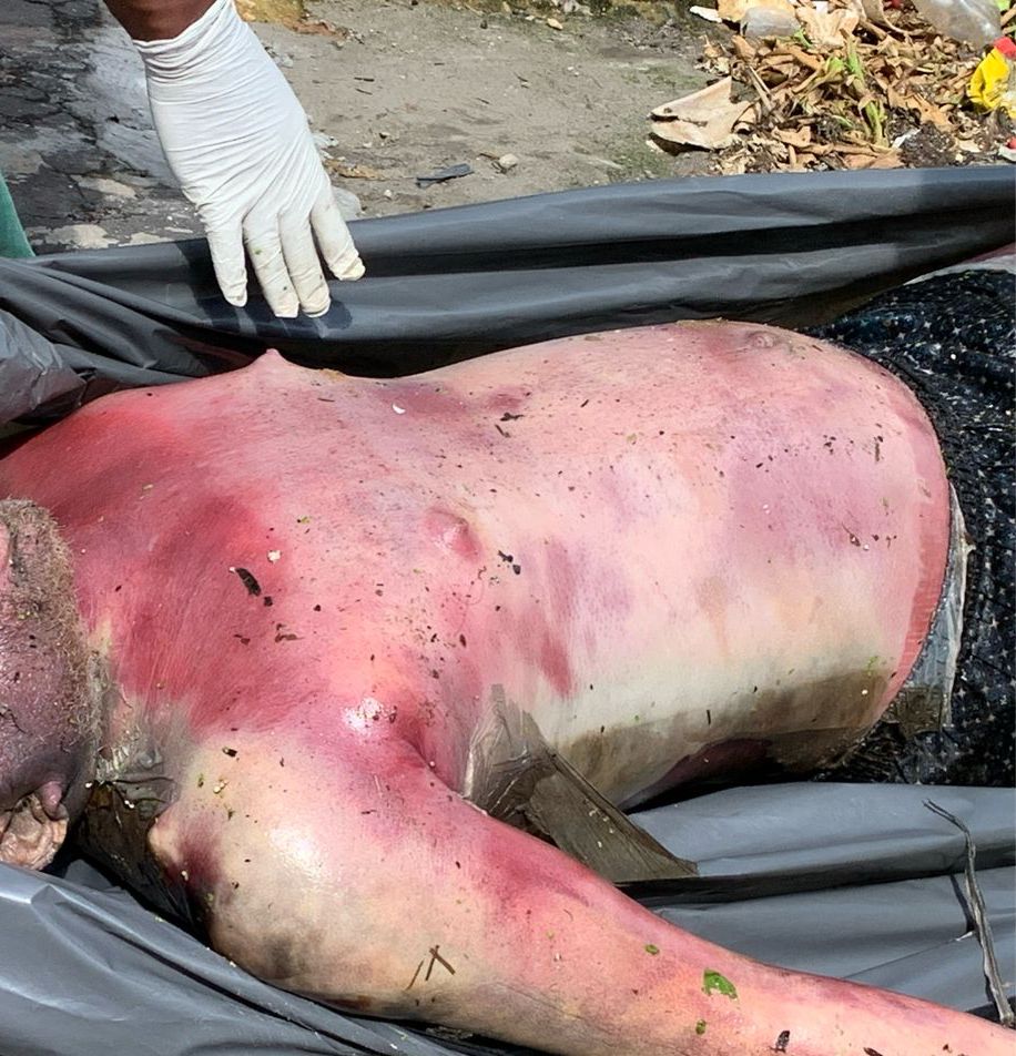 Foto: Caio Guarlotte/ Portal do Holanda