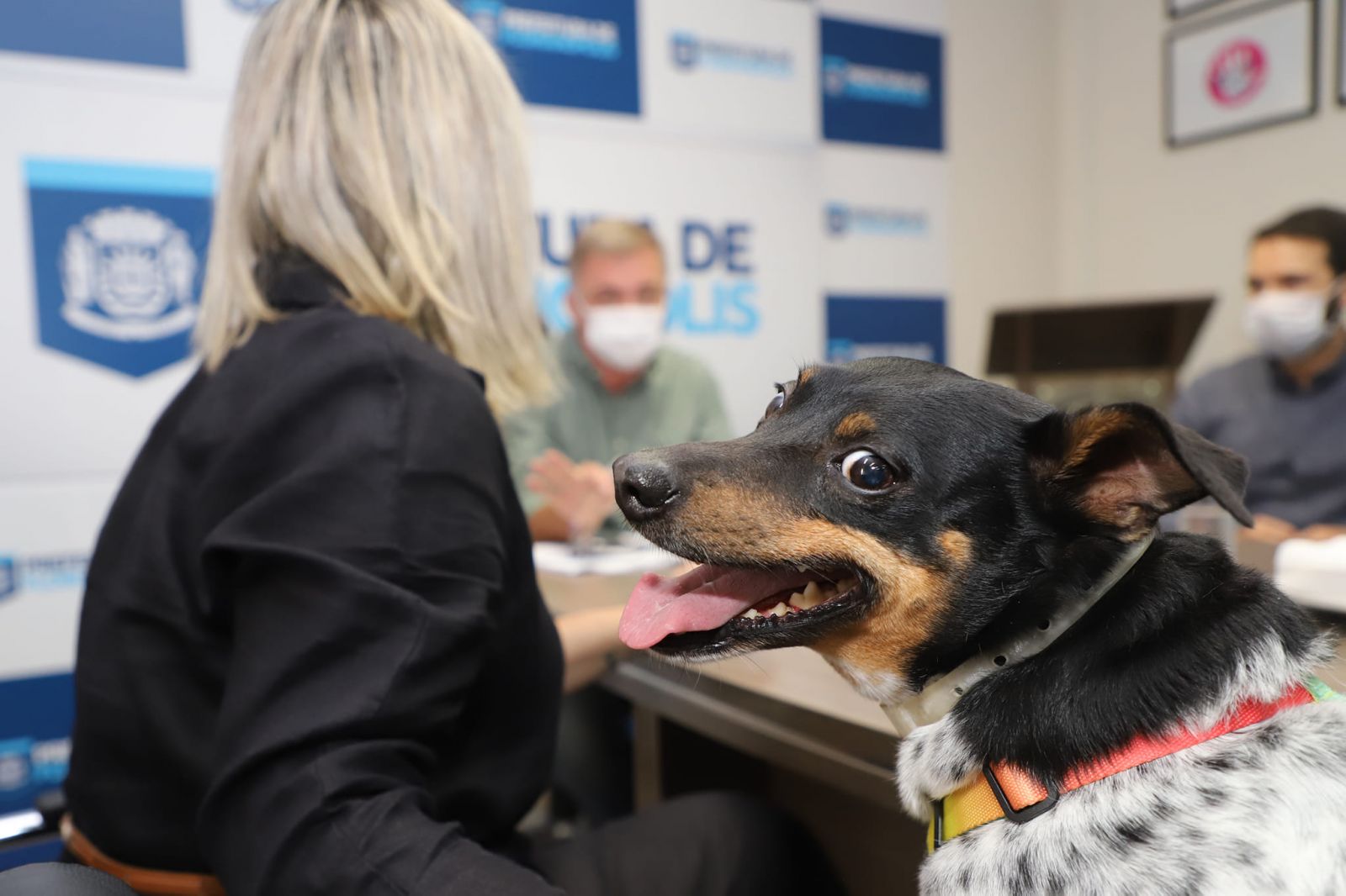 Foto: Divulga&ccedil;&atilde;o / Prefeitura de Florian&oacute;polis