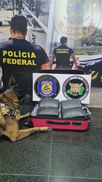 Foto: Divulga&ccedil;&atilde;o