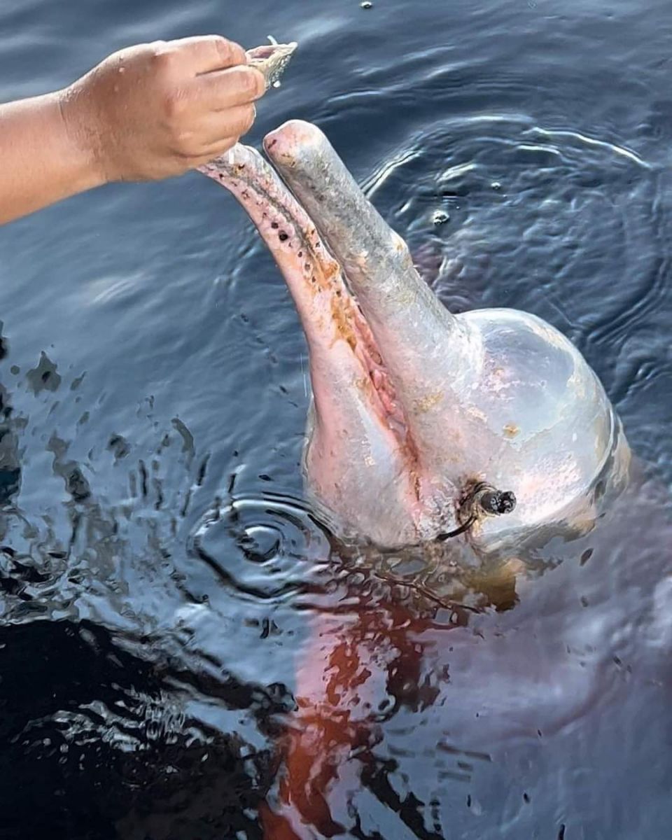 Foto: Reprodu&ccedil;&atilde;o Instagram