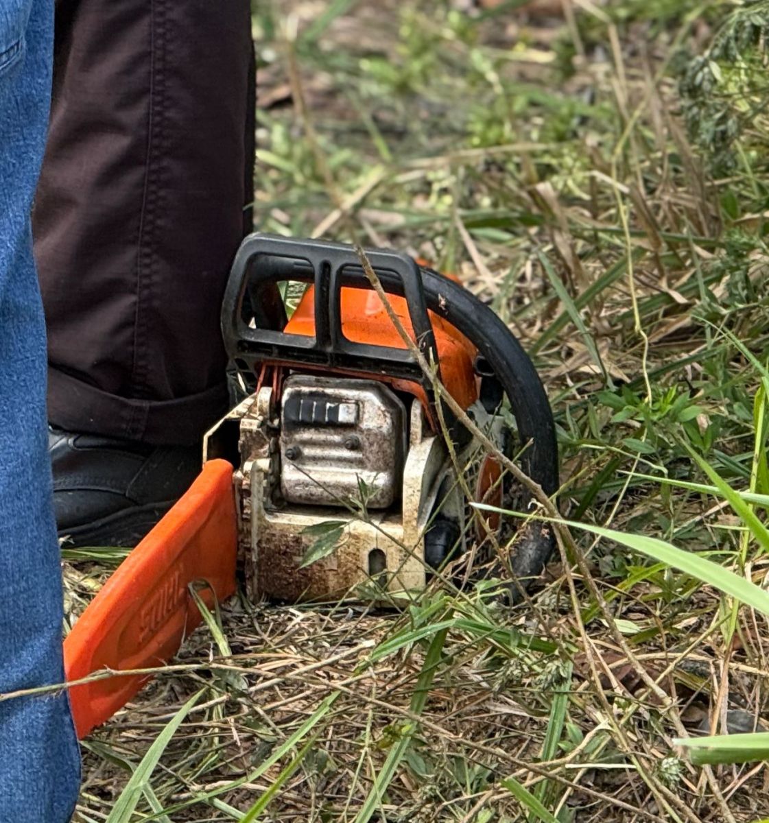 Foto: Neto Silva/ Portal do Holanda