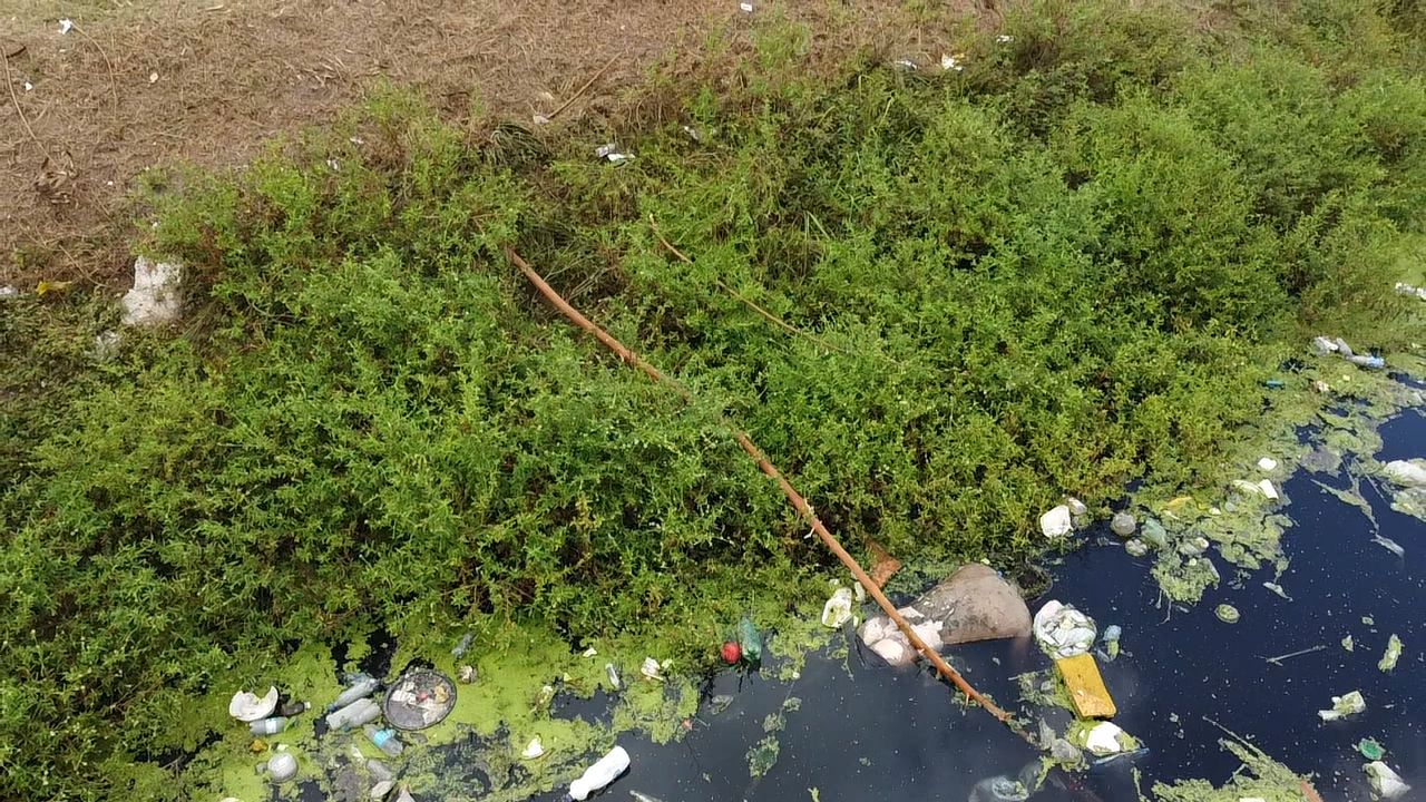 Foto: Jander Robson/ Portal do Holanda