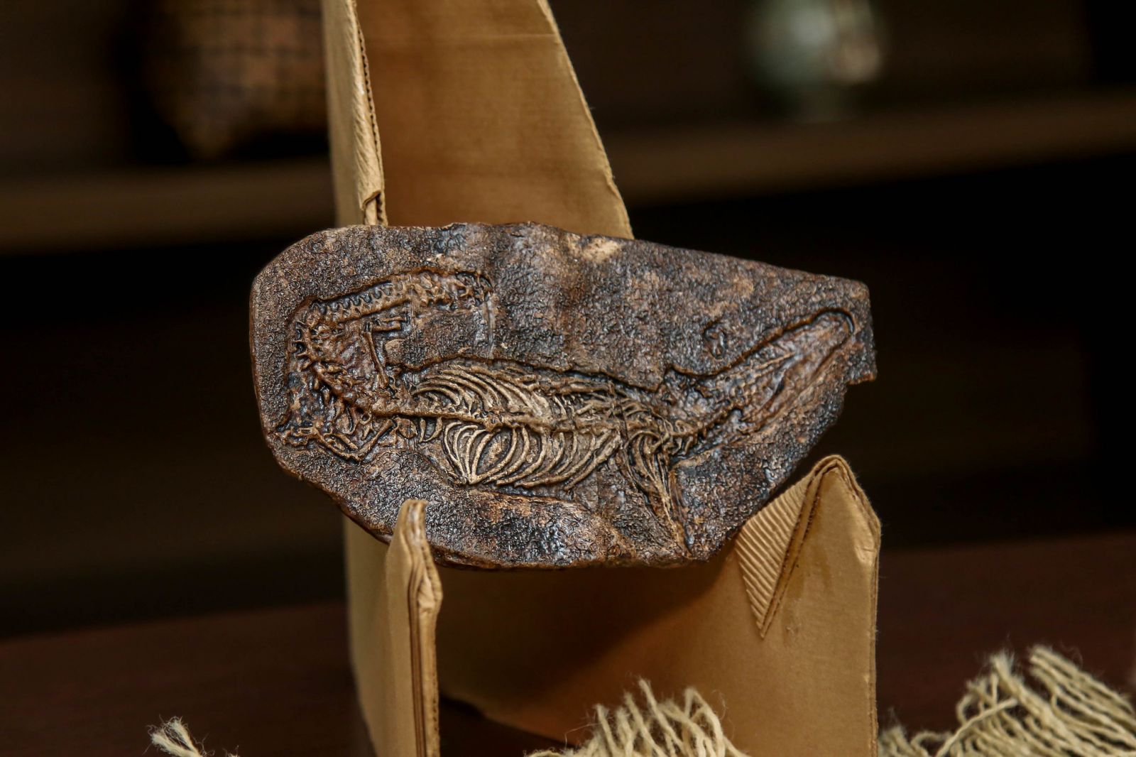 Foto: Eliton Santos/ Semed 