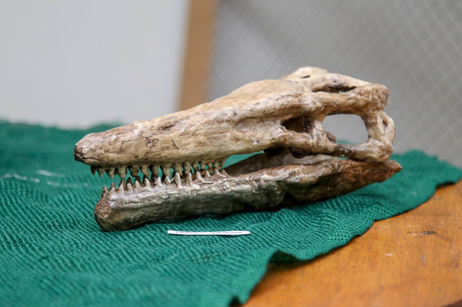 Foto: Eliton Santos/ Semed