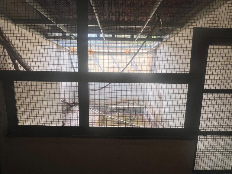 Foto: Divulga&ccedil;&atilde;o / Pol&iacute;cia Federal