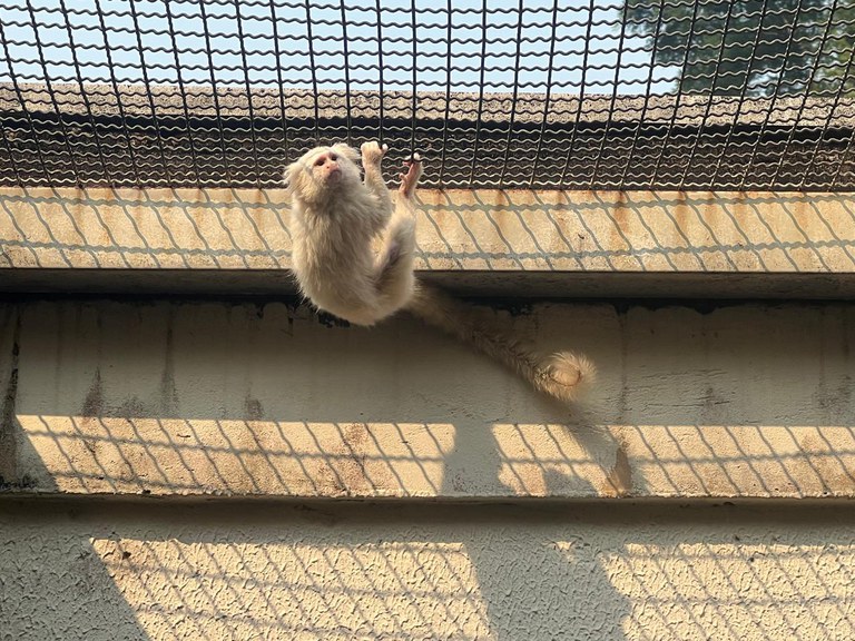 Foto: Divulga&ccedil;&atilde;o / Pol&iacute;cia Federal