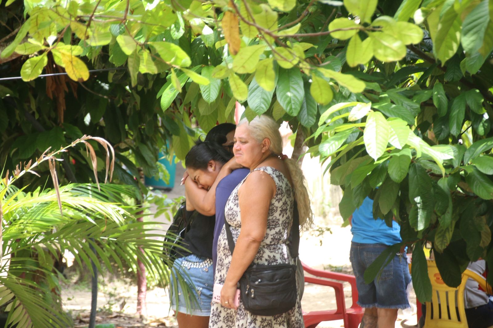 Foto: Jander Robson/Portal do Holanda