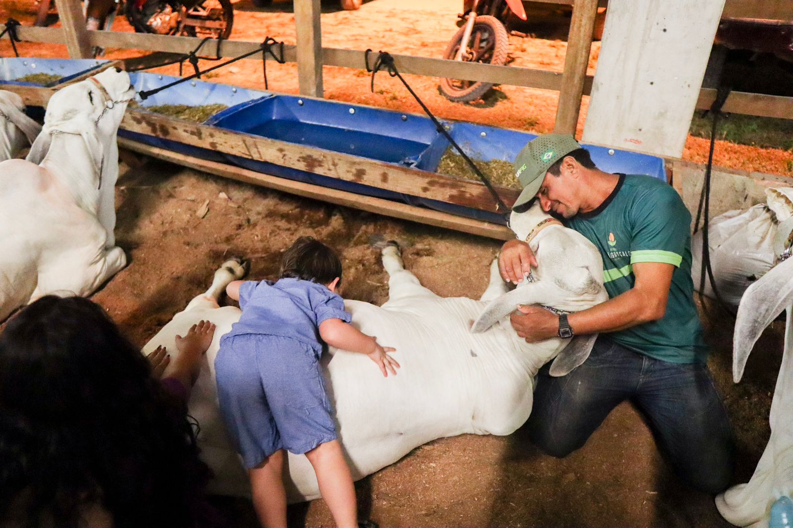 Foto: Divulga&ccedil;&atilde;o