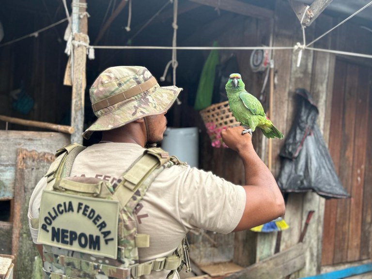 Foto: Divulga&ccedil;&atilde;o PF-AM