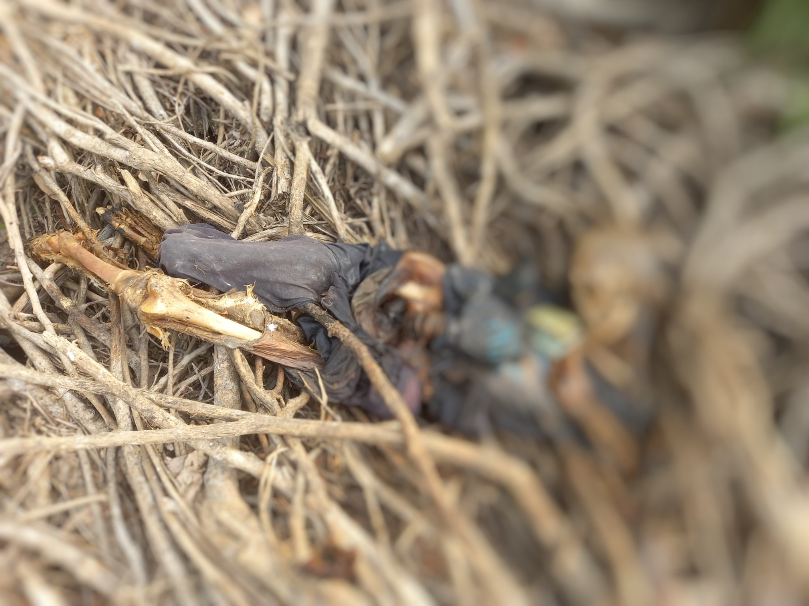 Foto: Divulga&ccedil;&atilde;o