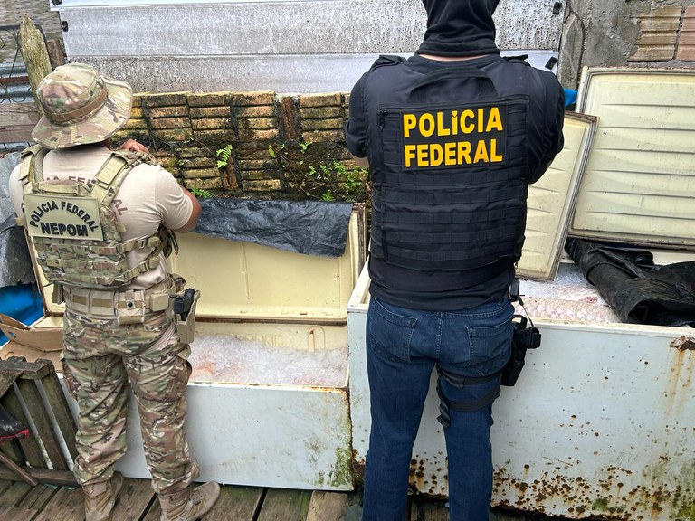 Foto: Divulga&ccedil;&atilde;o PF-AM