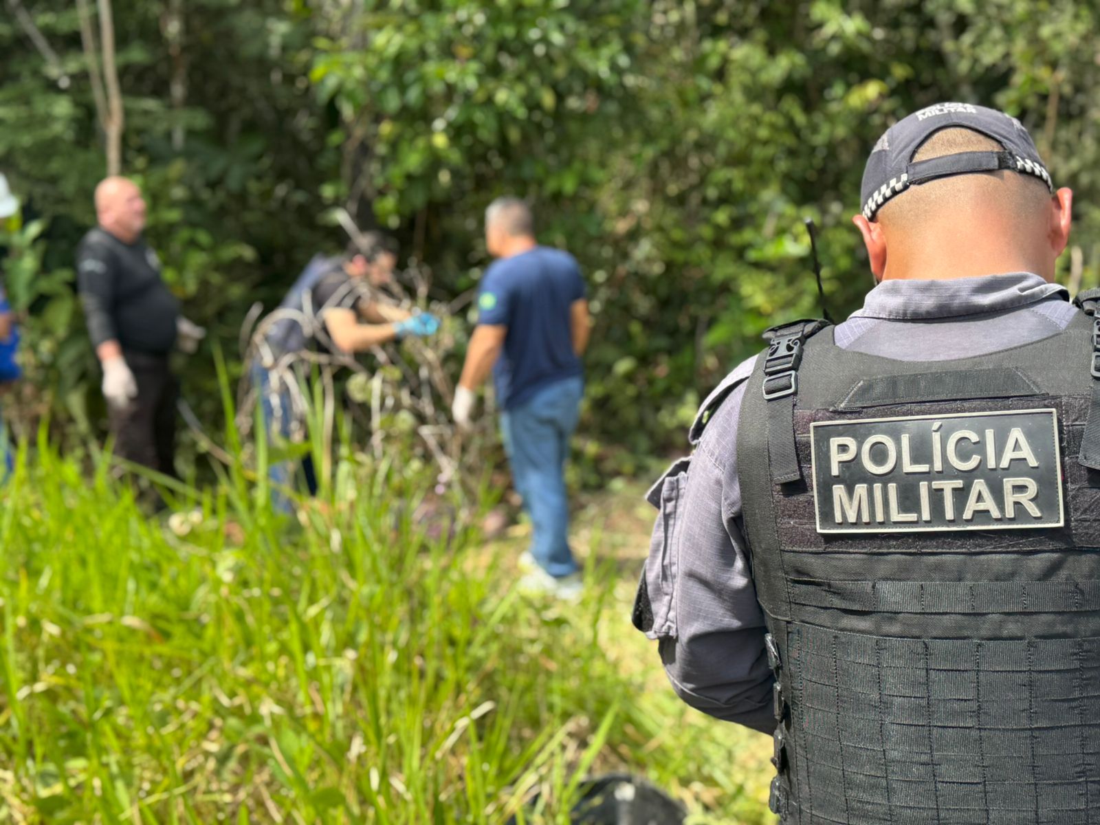 Foto: Neto Silva/Portal do Holanda