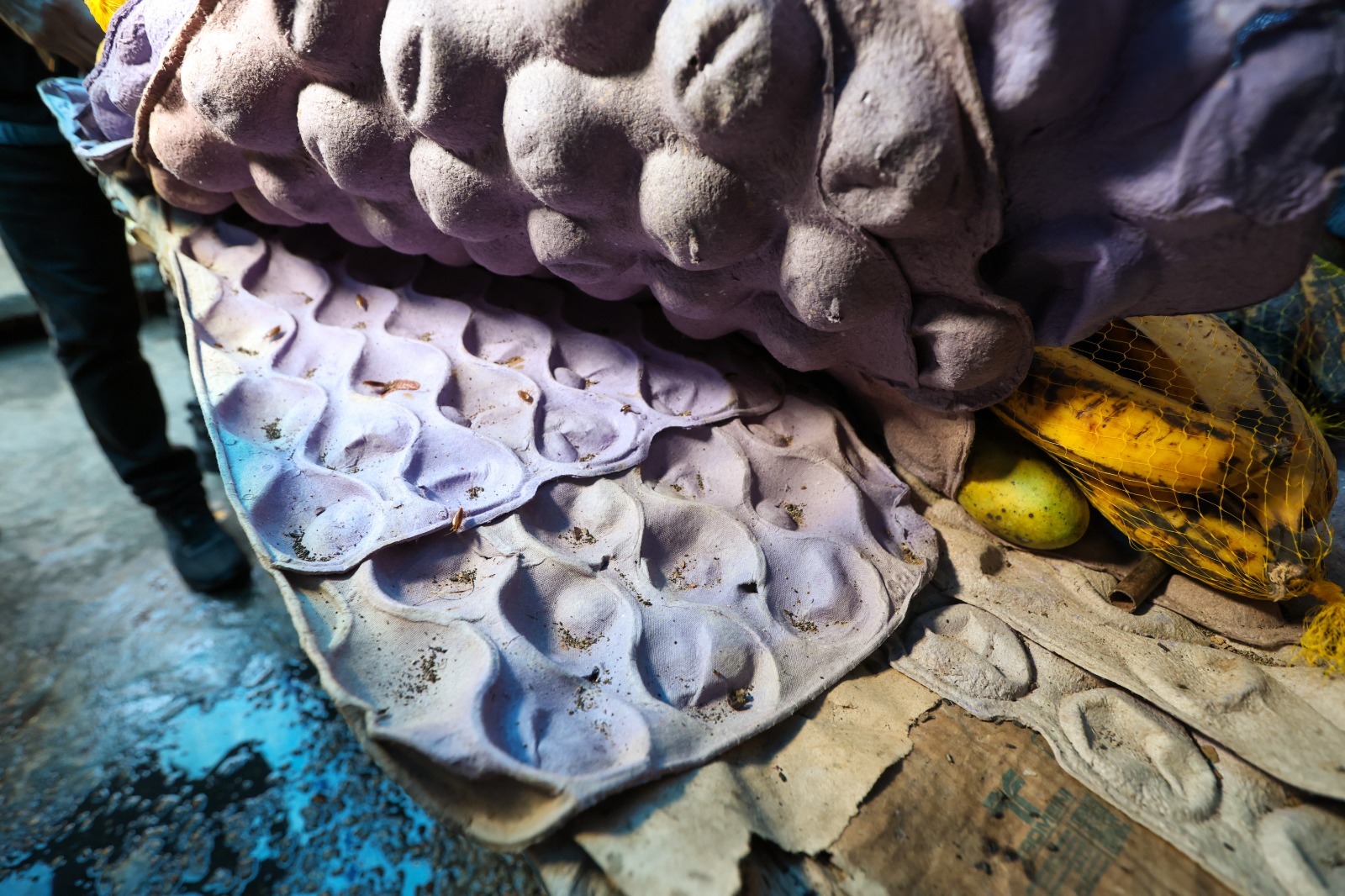 Foto: Antonio Pereira/Semcom