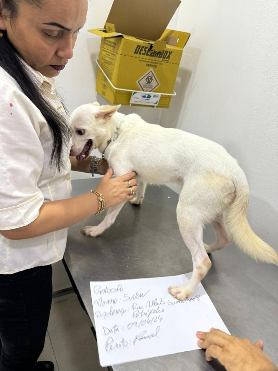 Foto: Divulga&ccedil;&atilde;o/PC-AM