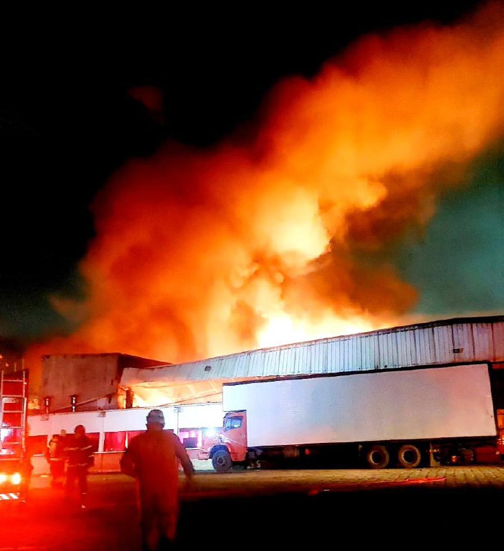 Foto: Divulga&ccedil;&atilde;o / CBMAM