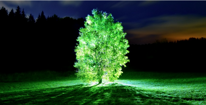 (Imagem ilustrativa)