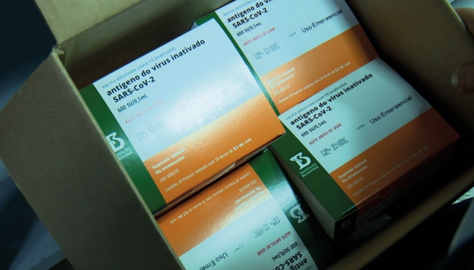 Foto: Divulga&ccedil;&atilde;o