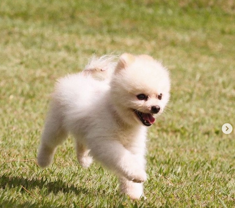 Foto: Reprodu&ccedil;&atilde;o Instagram