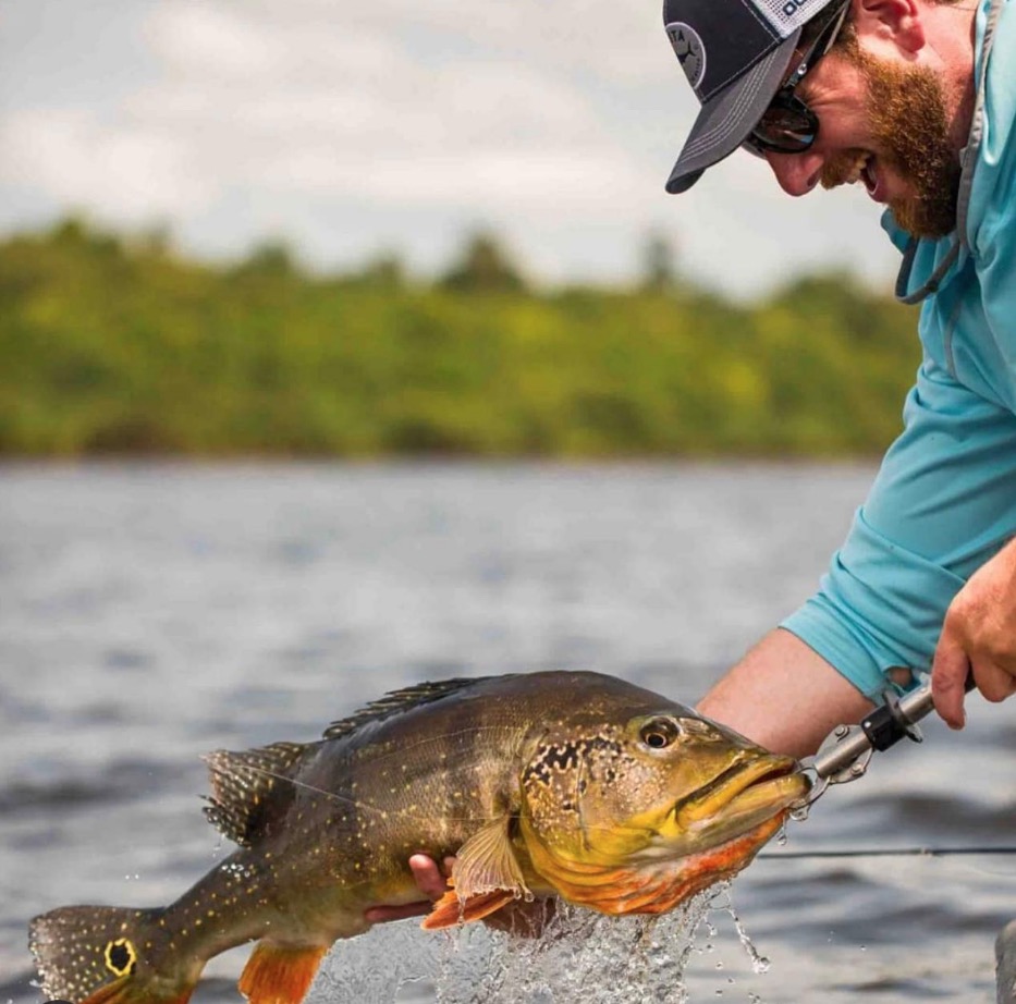 Foto: Amazon Receptive / Nomandic Waters