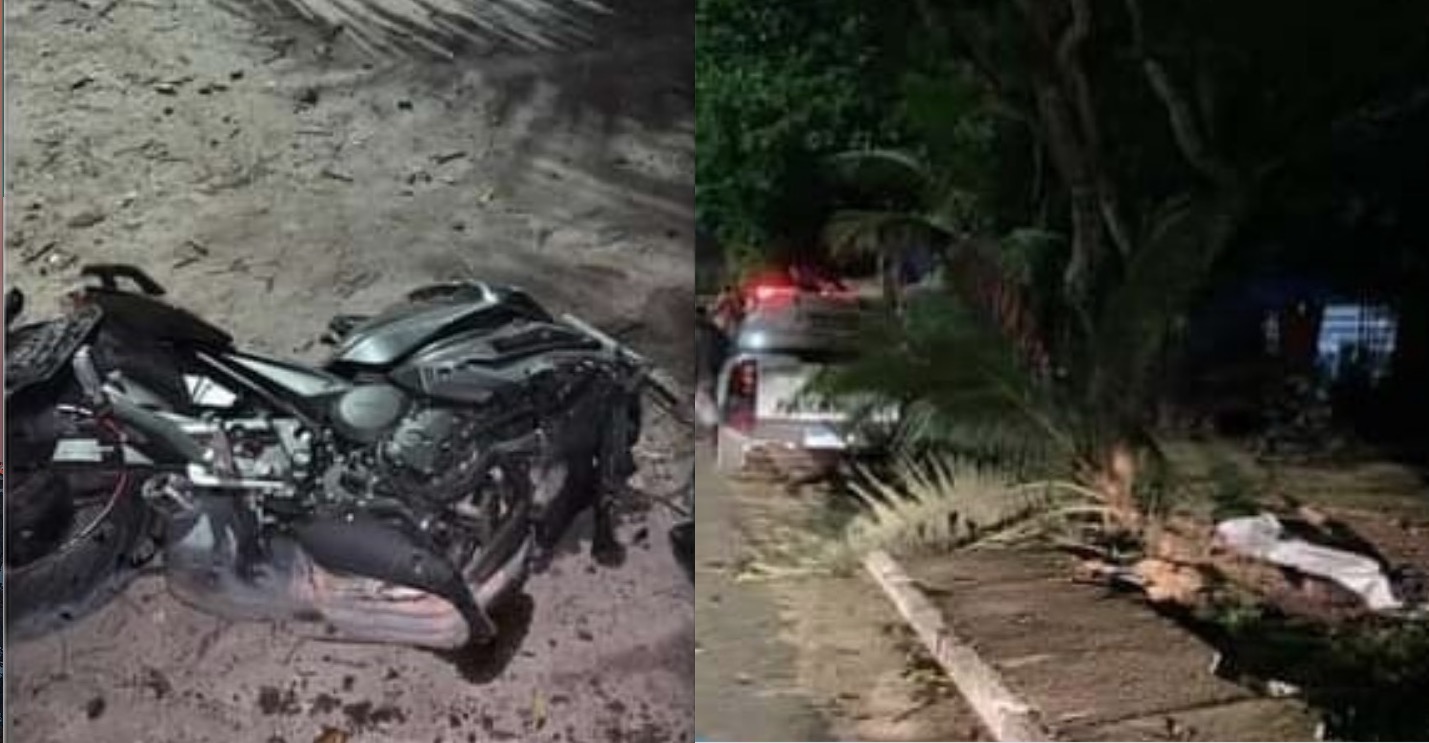 Foto: Divulga&ccedil;&atilde;o