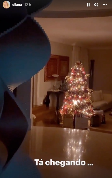 &Aacute;rvore de natal da apresentadora Eliana - Foto: Reprodu&ccedil;&atilde;o/Instagram