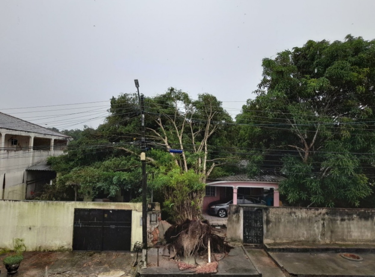 Foto: Divulga&ccedil;&atilde;o