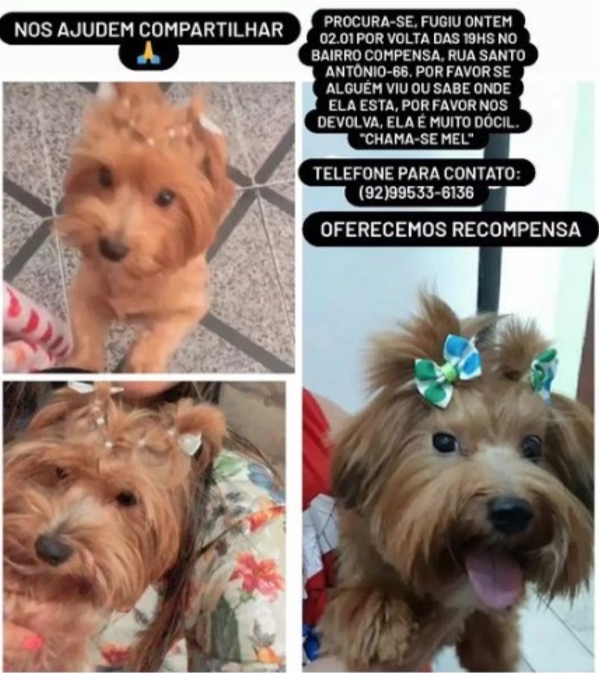 Foto: Arquivo Pessoal