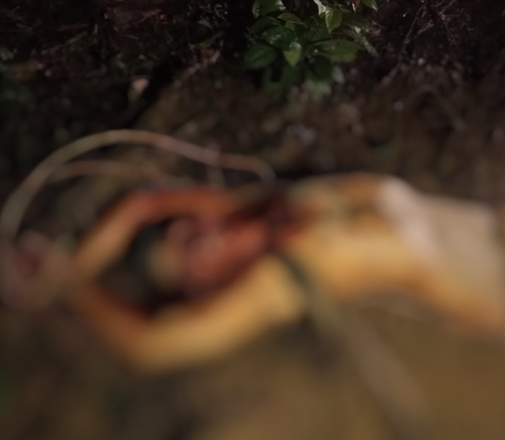 Divulga&ccedil;&atilde;o