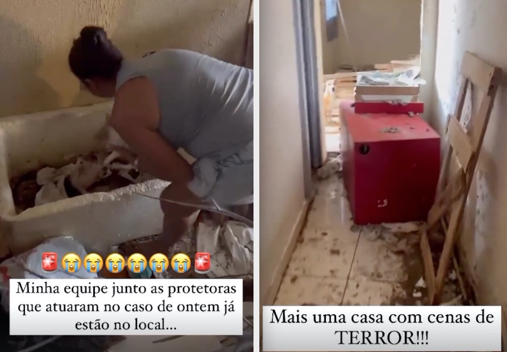 C&atilde;es s&atilde;o resgatados em situa&ccedil;&atilde;o de maus-tratos no Centro - Imagens: Reprodu&ccedil;&atilde;o/Joana D'Arc