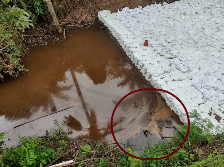 Poss&iacute;vel Nascente - Foto: Divulga&ccedil;&atilde;o