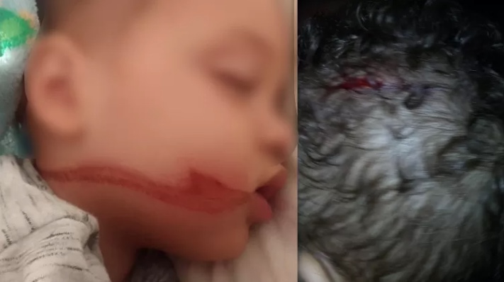 Foto: Arquivo pessoal