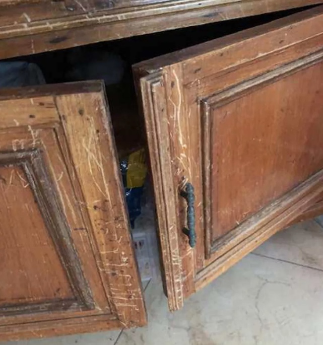 Foto: Reprodu&ccedil;&atilde;o