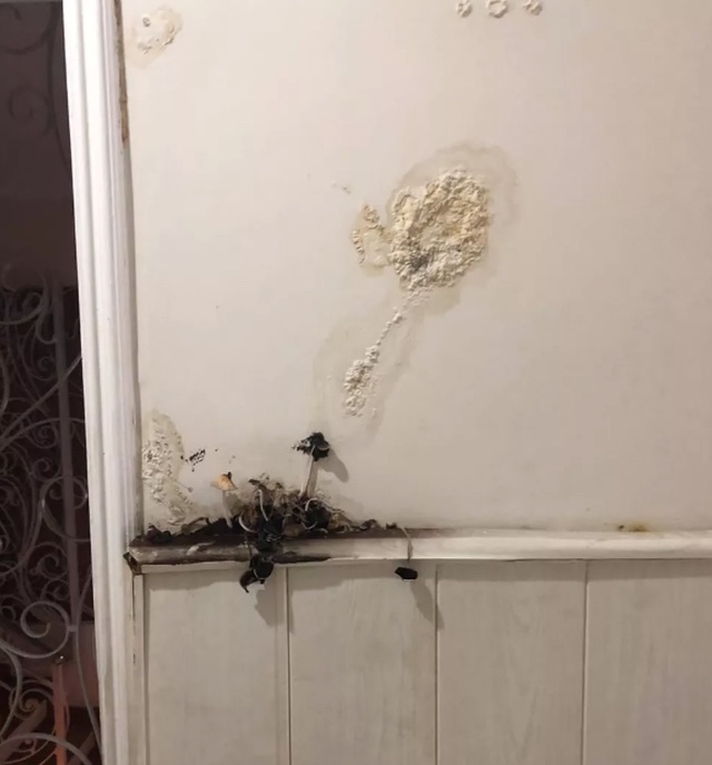 Foto: Reprodu&ccedil;&atilde;o