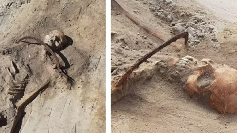 Divulga&ccedil;&atilde;o / Mirosław Blicharski / Aleksander Poznań