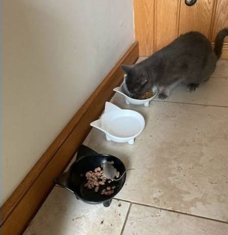 Foto: Reprodu&ccedil;&atilde;o/Facebook