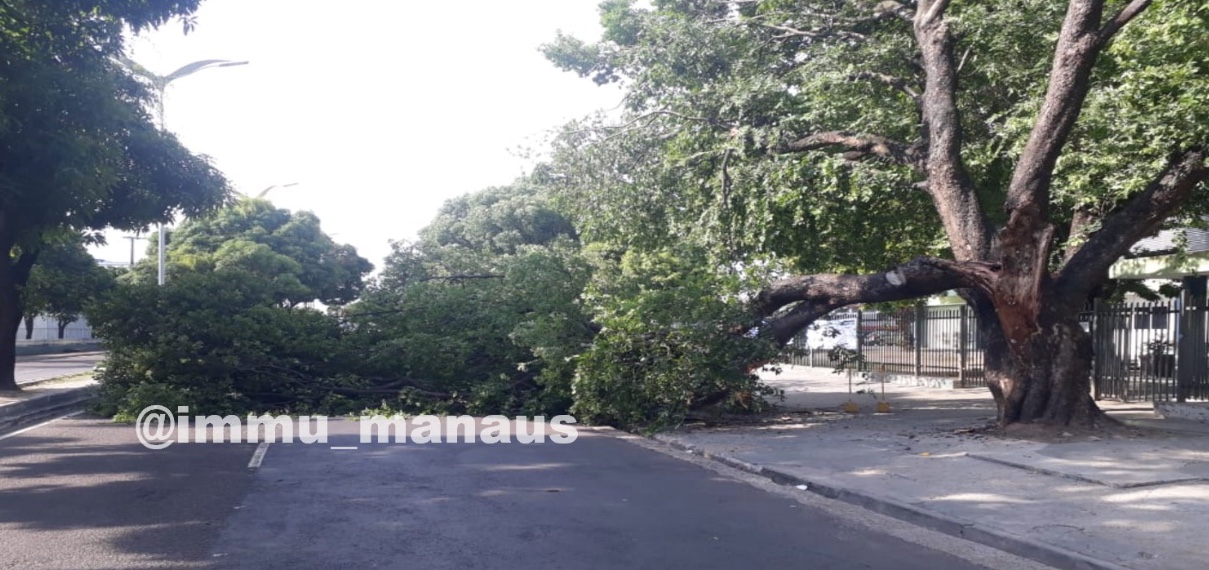 Foto: Reprodu&ccedil;&atilde;o/twitter/IMMU