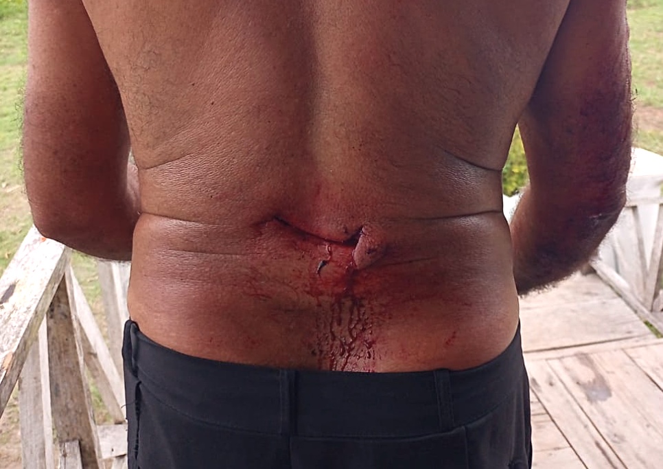 Foto: Divulga&ccedil;&atilde;o