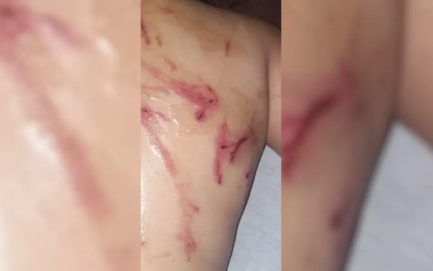 Foto: Divulga&ccedil;&atilde;o PM