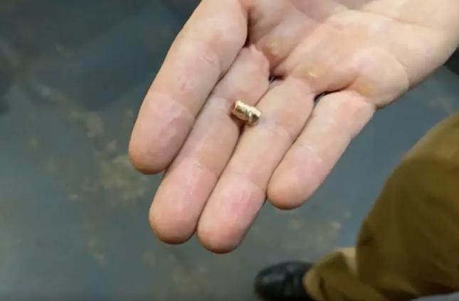 Foto: Tribuna Interativa WebTV/ Divulga&ccedil;&atilde;o